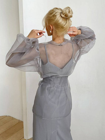 Sheer Top V Neck Long Puff Sleeves Bow Tie Blouse