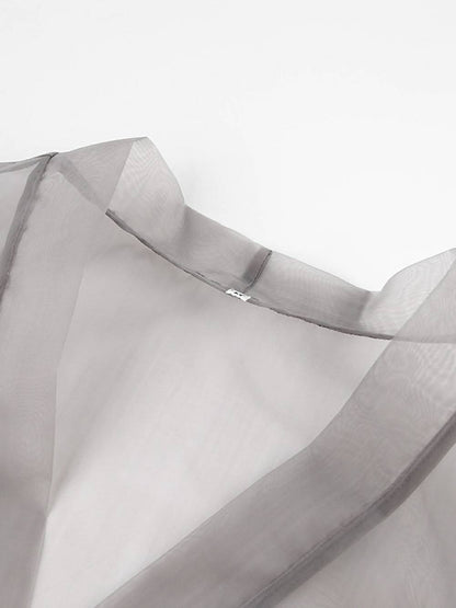 Sheer Top V Neck Long Puff Sleeves Bow Tie Blouse