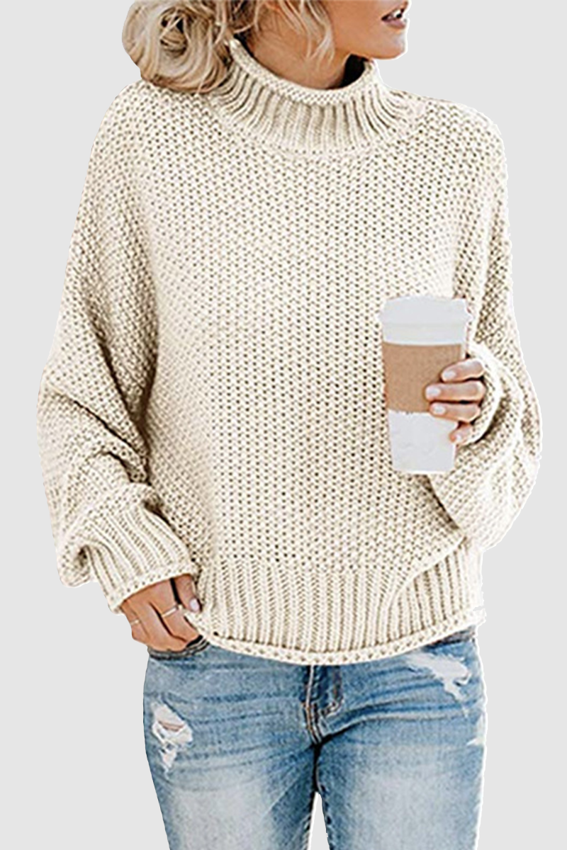 Patchwork Turtleneck Sweaters(11 Colors)