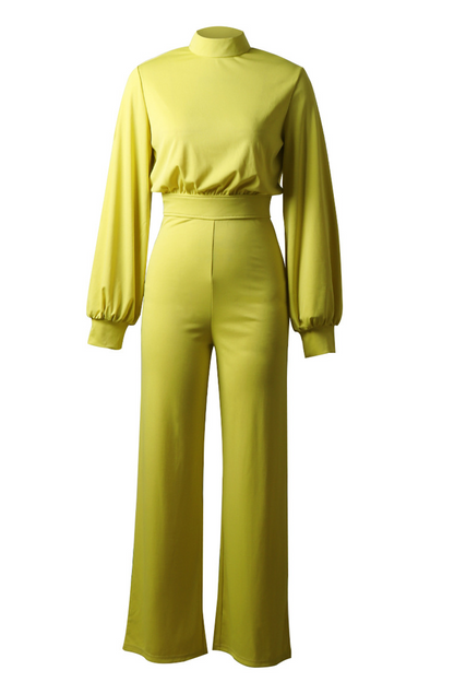 Half a Turtleneck Straight Jumpsuits(3 Colors)