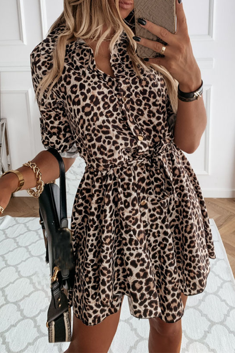 Print Turndown Collar Cake Skirt Dresses(3 Colors)