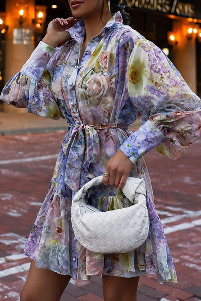 Print Patchwork Turndown Collar Cake Skirt Dresses