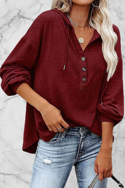 Frenulum V Neck Hoodies(11 Colors)