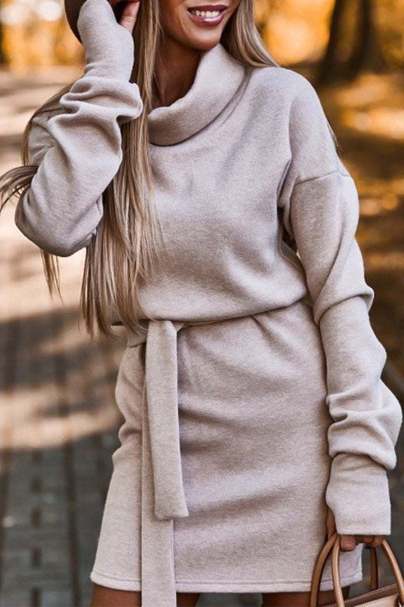 Frenulum Turtleneck One Step Skirt Dresses