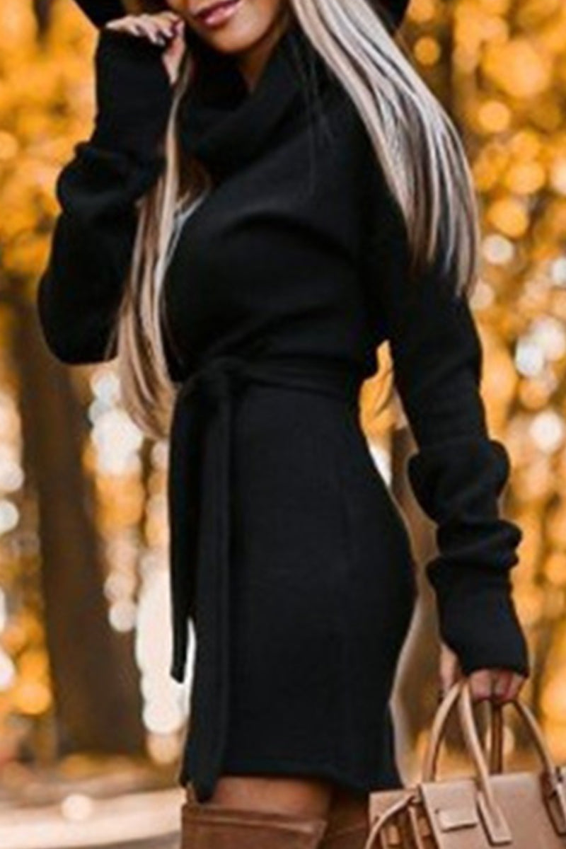 Frenulum Turtleneck One Step Skirt Dresses