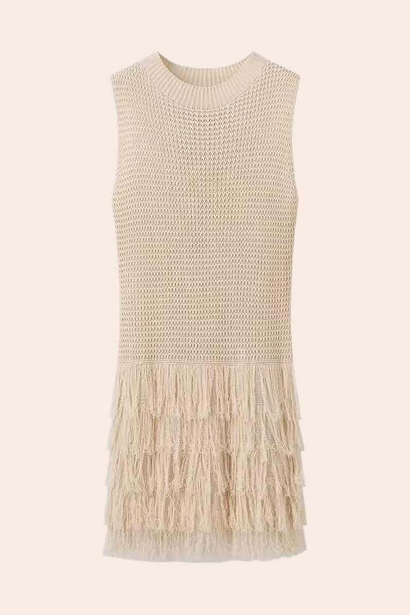 Truda Sleeveless Fringes Knitted Mini Dress