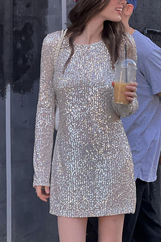 Party Sequins O Neck Wrapped Skirt Dresses