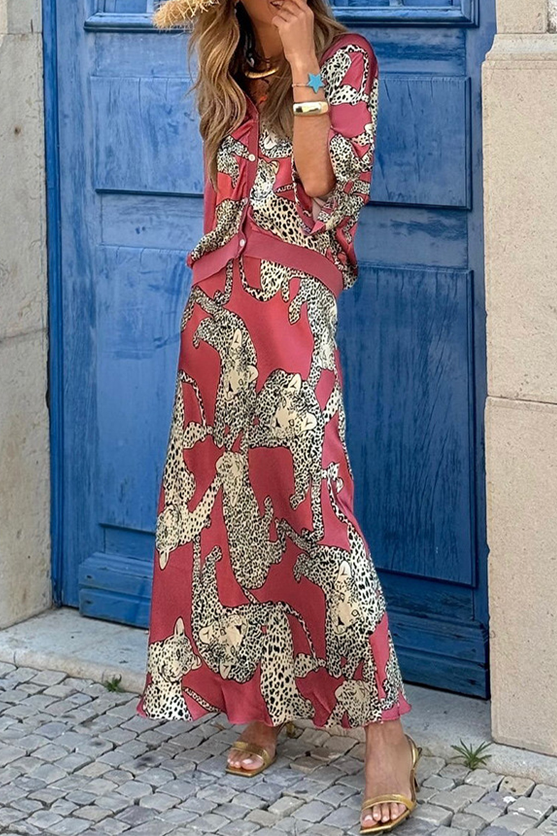 Animal Print Buttons V Neck Half Sleeve Two Pieces