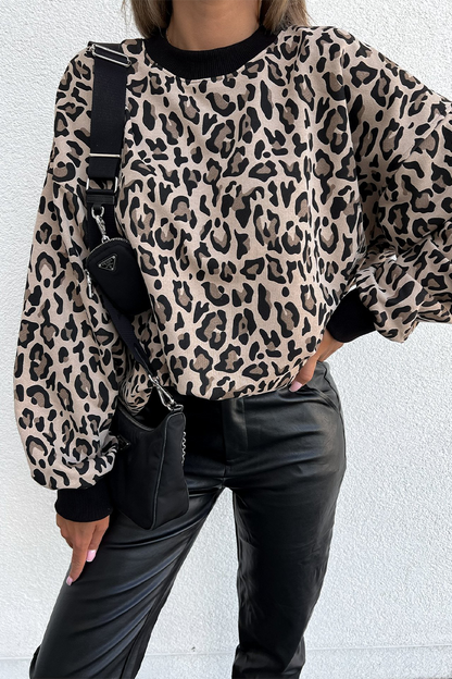 Leopard Print Zebra Print Contrast O Neck Hoodies