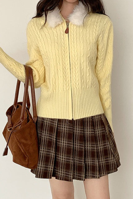 Plaid Pleated Skirt