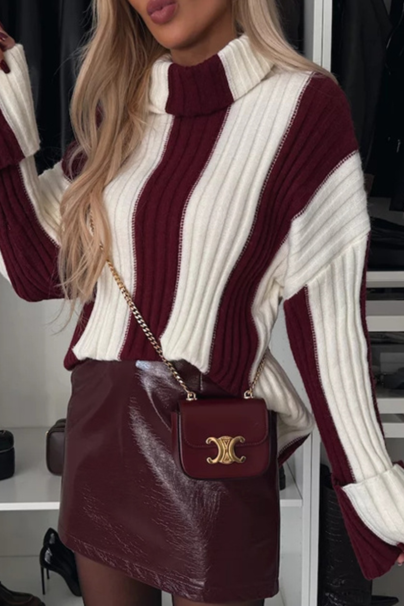 Stripe Weave Contrast Turtleneck Sweaters