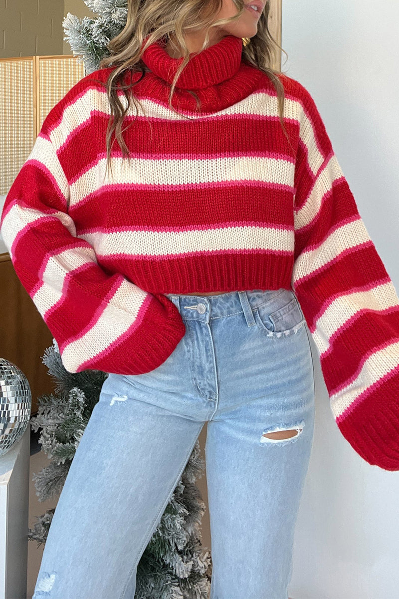 Stripe Weave Contrast Turtleneck Sweaters
