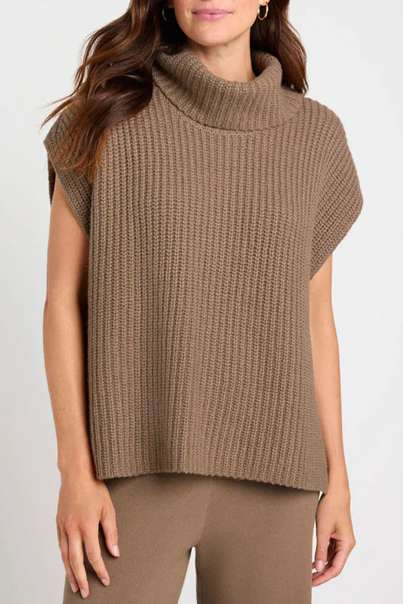 Color Turtleneck Sweaters(3 Colors)