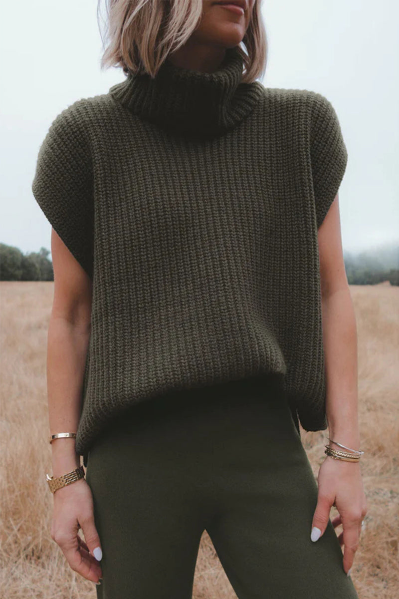 Color Turtleneck Sweaters(3 Colors)