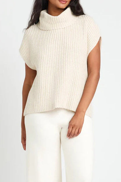Color Turtleneck Sweaters(3 Colors)