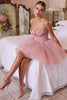 French Rose Tulle Mini Dress -