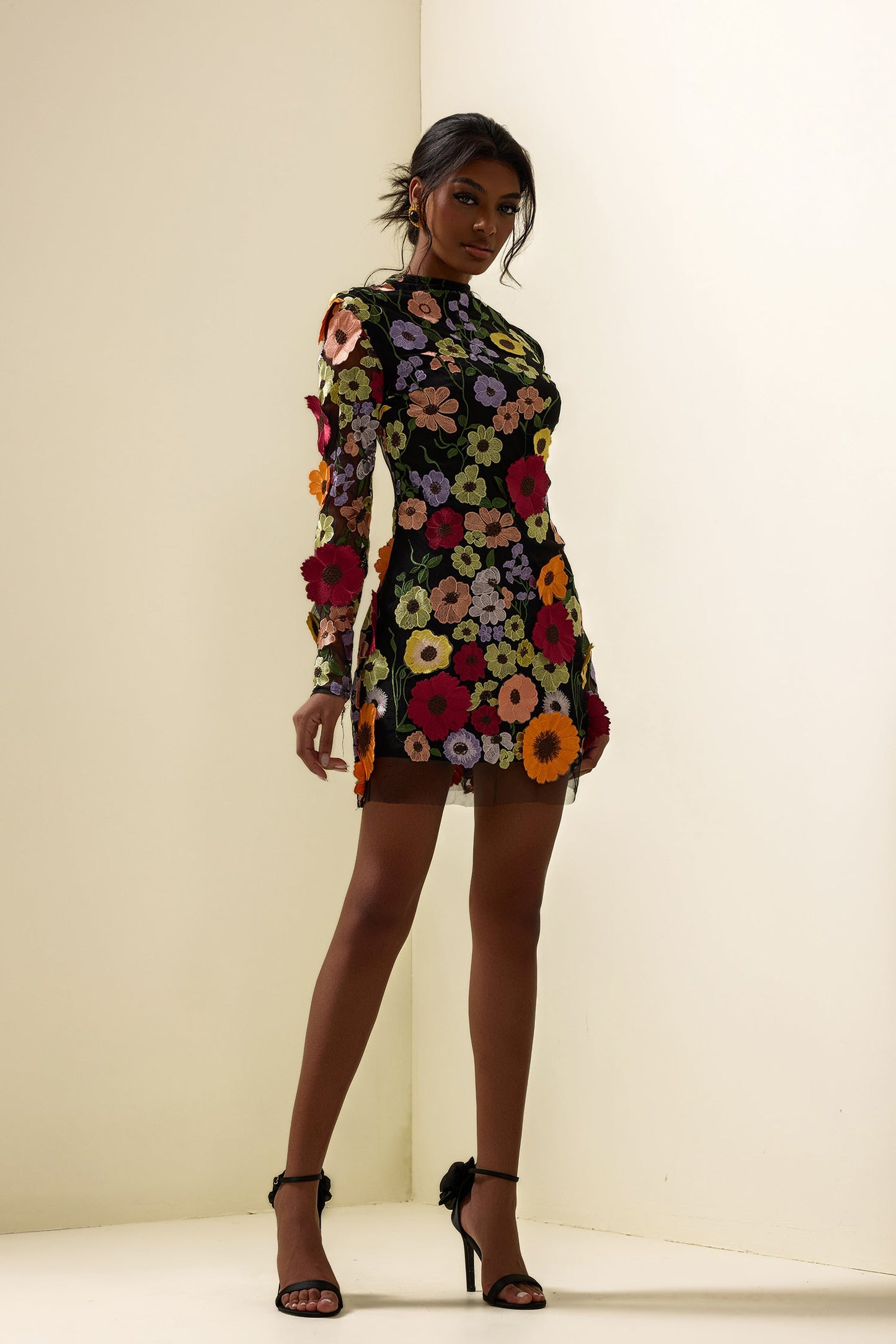 Embroidered Long Sleeve Mini Dress