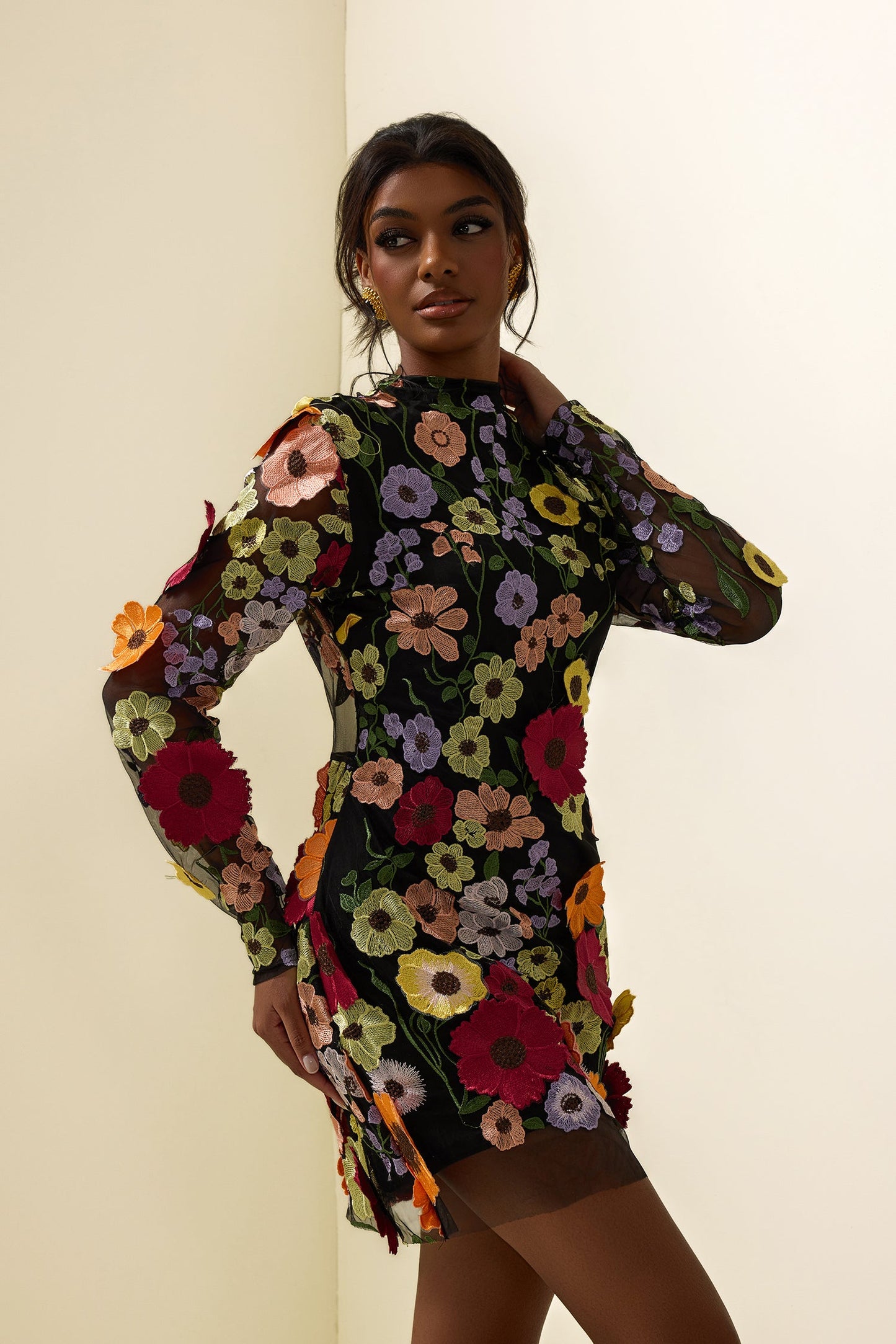 Embroidered Long Sleeve Mini Dress