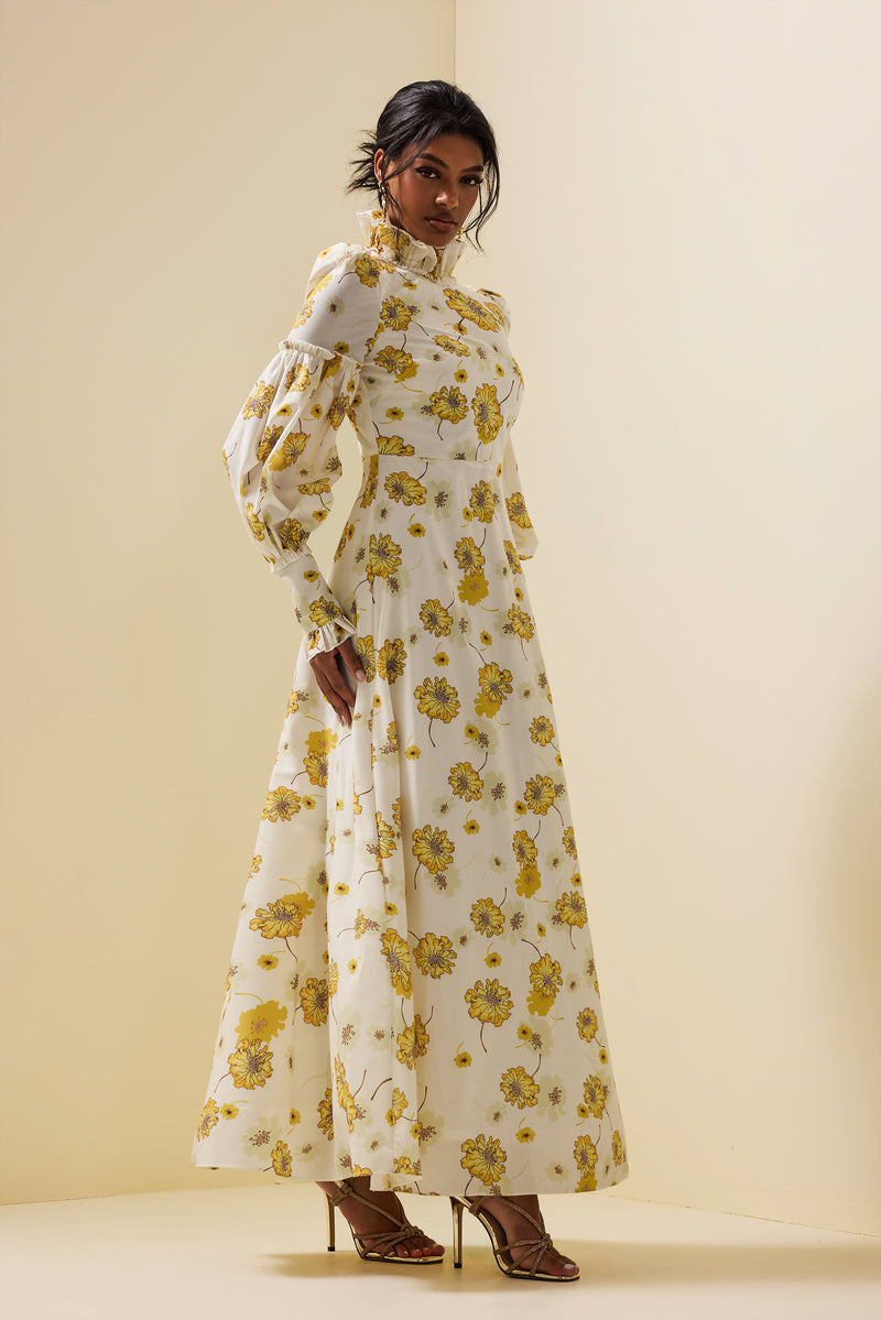 Stand Collar Lantern Sleeve Maxi Dress