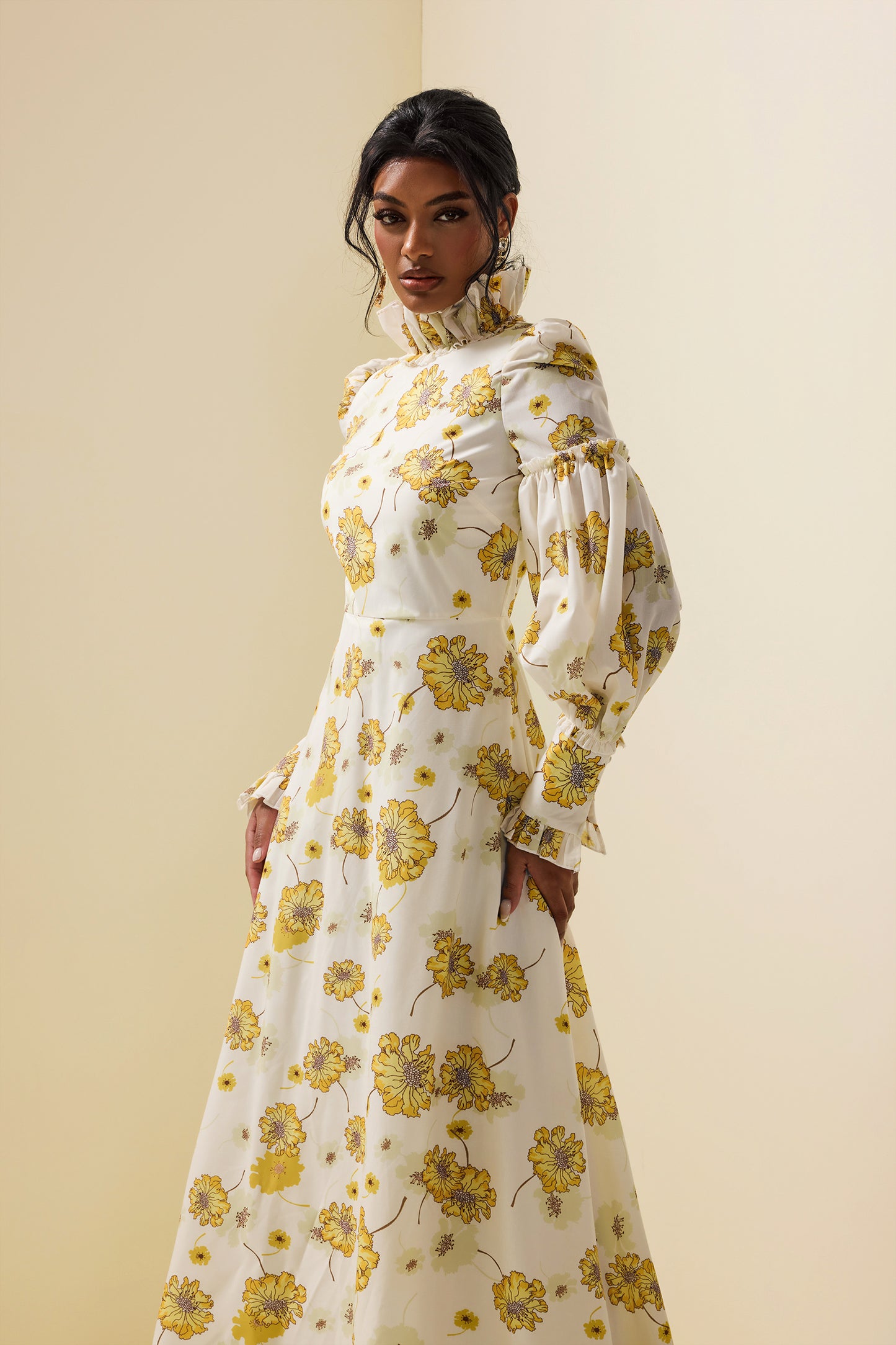 Stand Collar Lantern Sleeve Maxi Dress