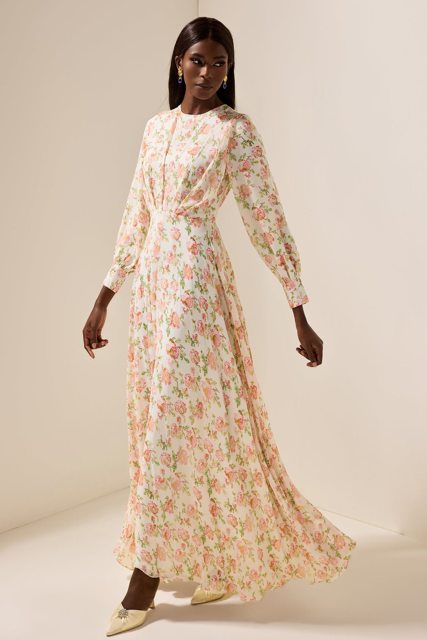 Chiffon Long Sleeve Maxi Dress