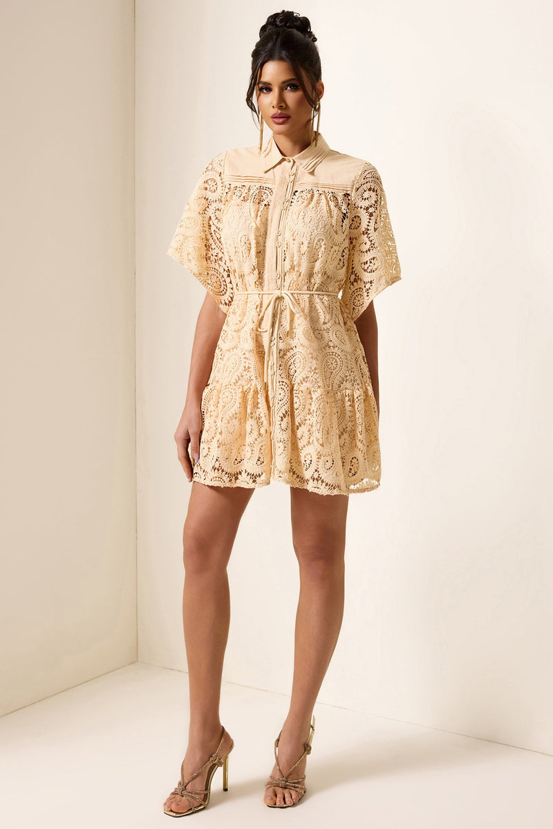 Lace Shirt Collar Mini Dress