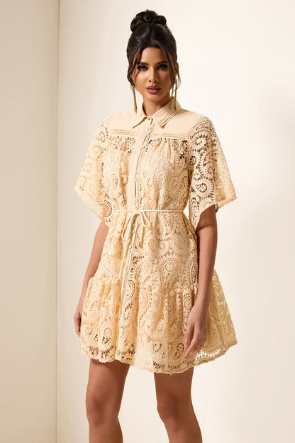 Lace Shirt Collar Mini Dress