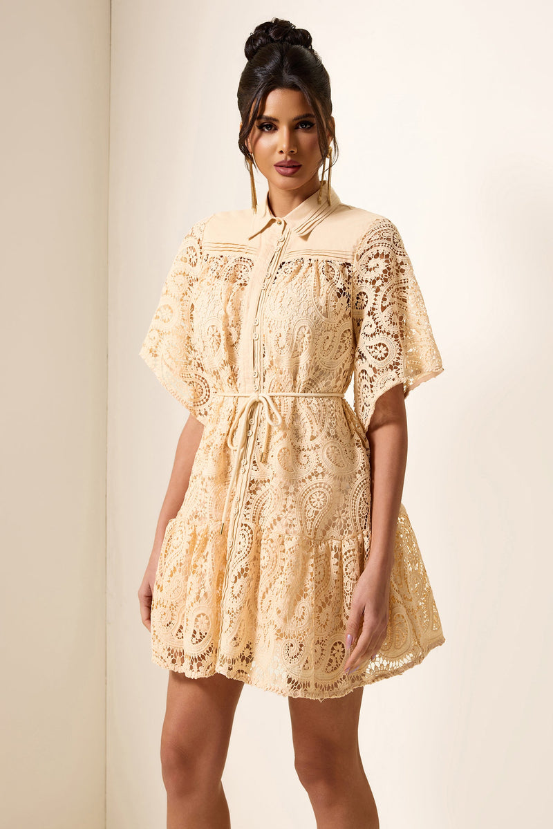 Lace Shirt Collar Mini Dress
