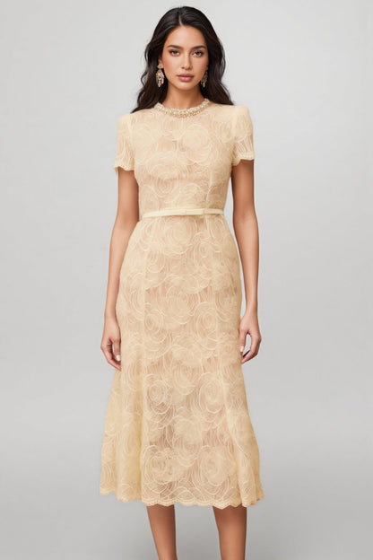 Aurore White Embellished Lace Midi Dress