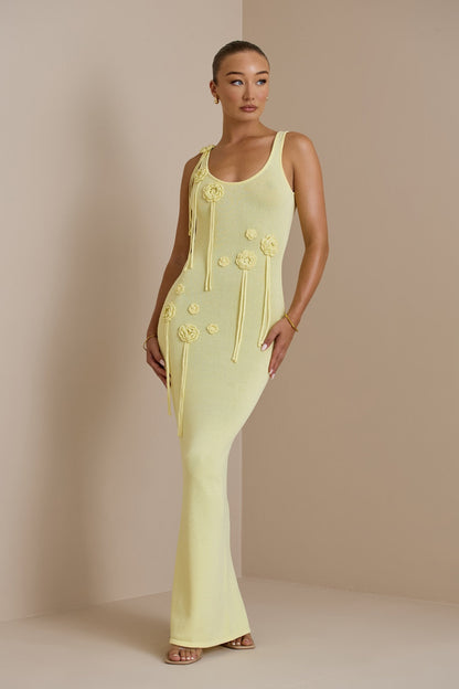 Paula Applique Knit Maxi Dress