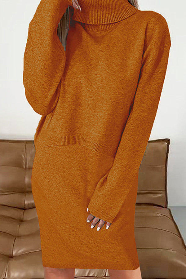 Color Turtleneck Sweater and Knee Length Dress Set