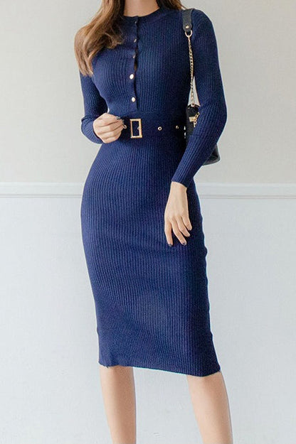 Button Front Bodycon Sweater Dress