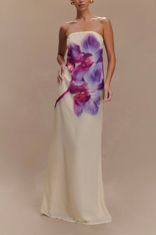 Strapless Print Maxi Dress