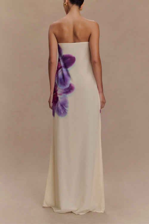 Strapless Print Maxi Dress