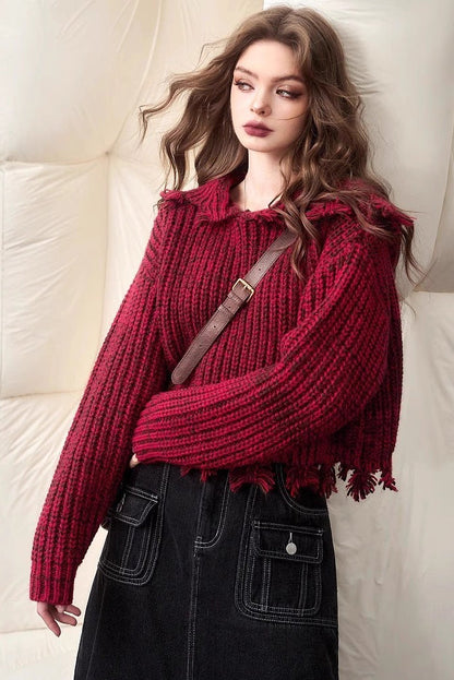 Color Tassel Trim Short Chunky Sweater