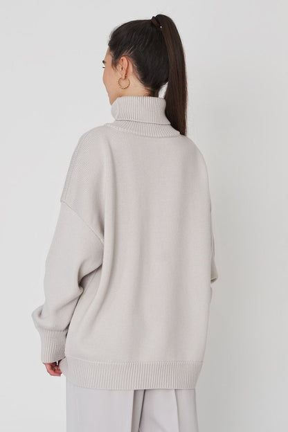 Basic Knit Turtleneck Sweater