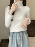 Angela® | Simple classic turtleneck sweater