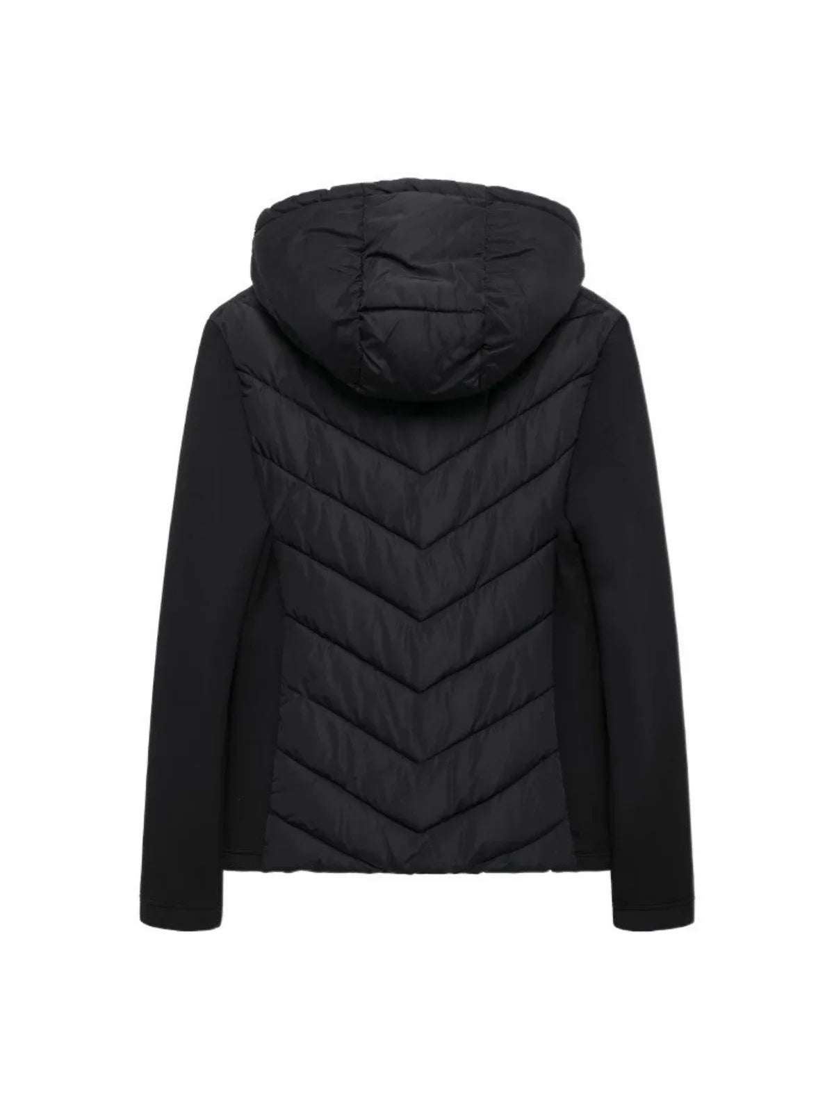 Cotton Padded Coat With Stand Up Collar for Wear