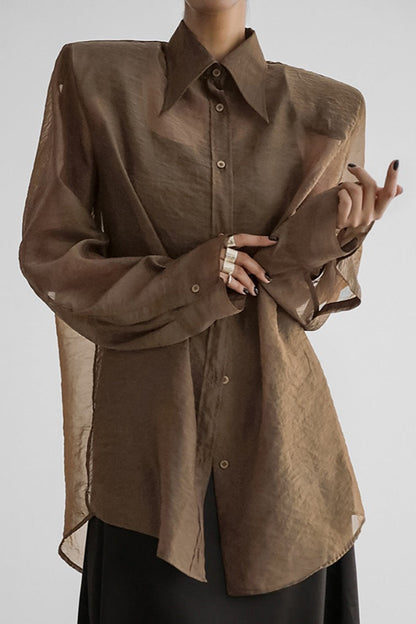 Mesh Sheer Long-sleeve Loose Blouse