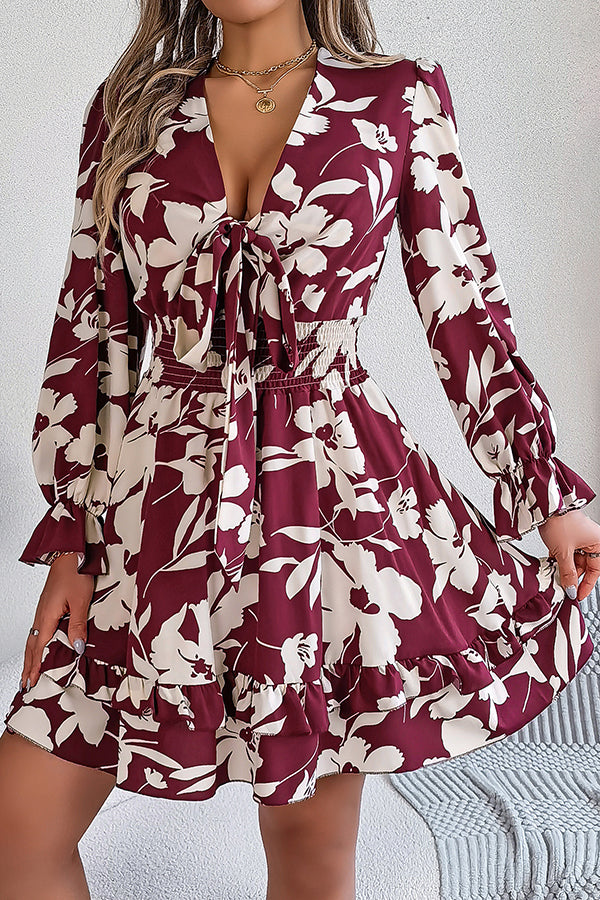 Print V-neck Lace-up Long-sleeve Elastic Waist Mini Dress