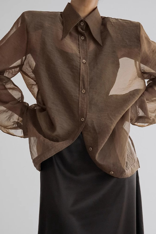 Sheer Long Sleeve Blouse