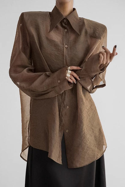 Sheer Long Sleeve Blouse