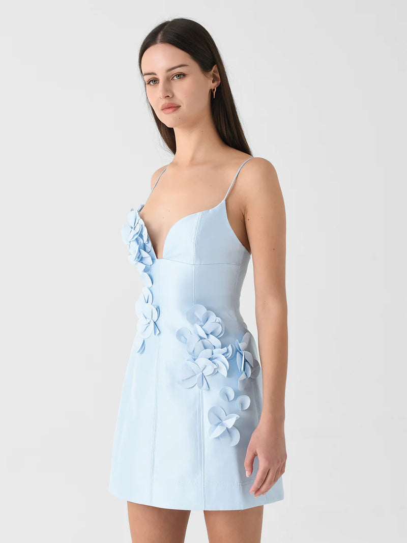 Bilston Mini Dress