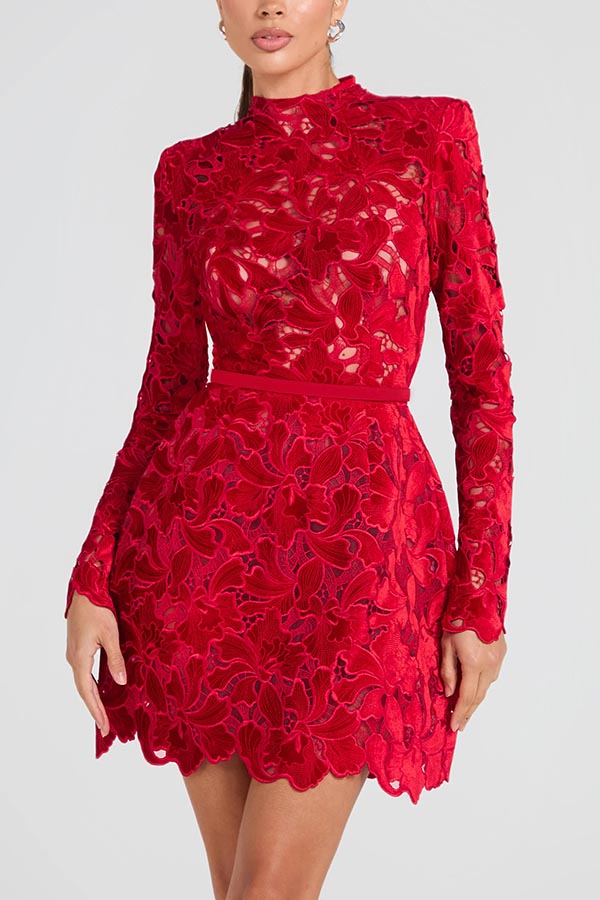 Lydia Embroidered Lace Long Sleeve Belt Tulip Shaped Mini Dress