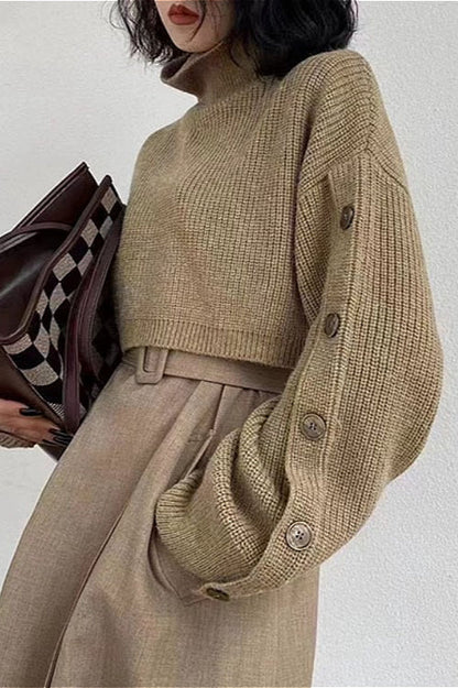 Turtleneck Crop Knit Sweater