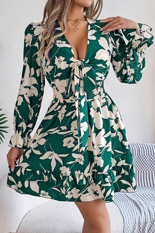 Print V-neck Lace-up Long-sleeve Elastic Waist Mini Dress