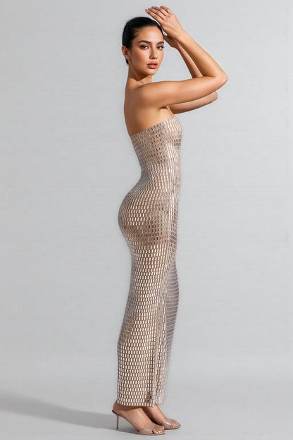 Cary Rhinestone Embellished Sheath Maxi Dress