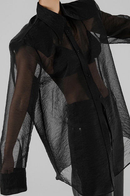 Sheer Long Sleeve Blouse