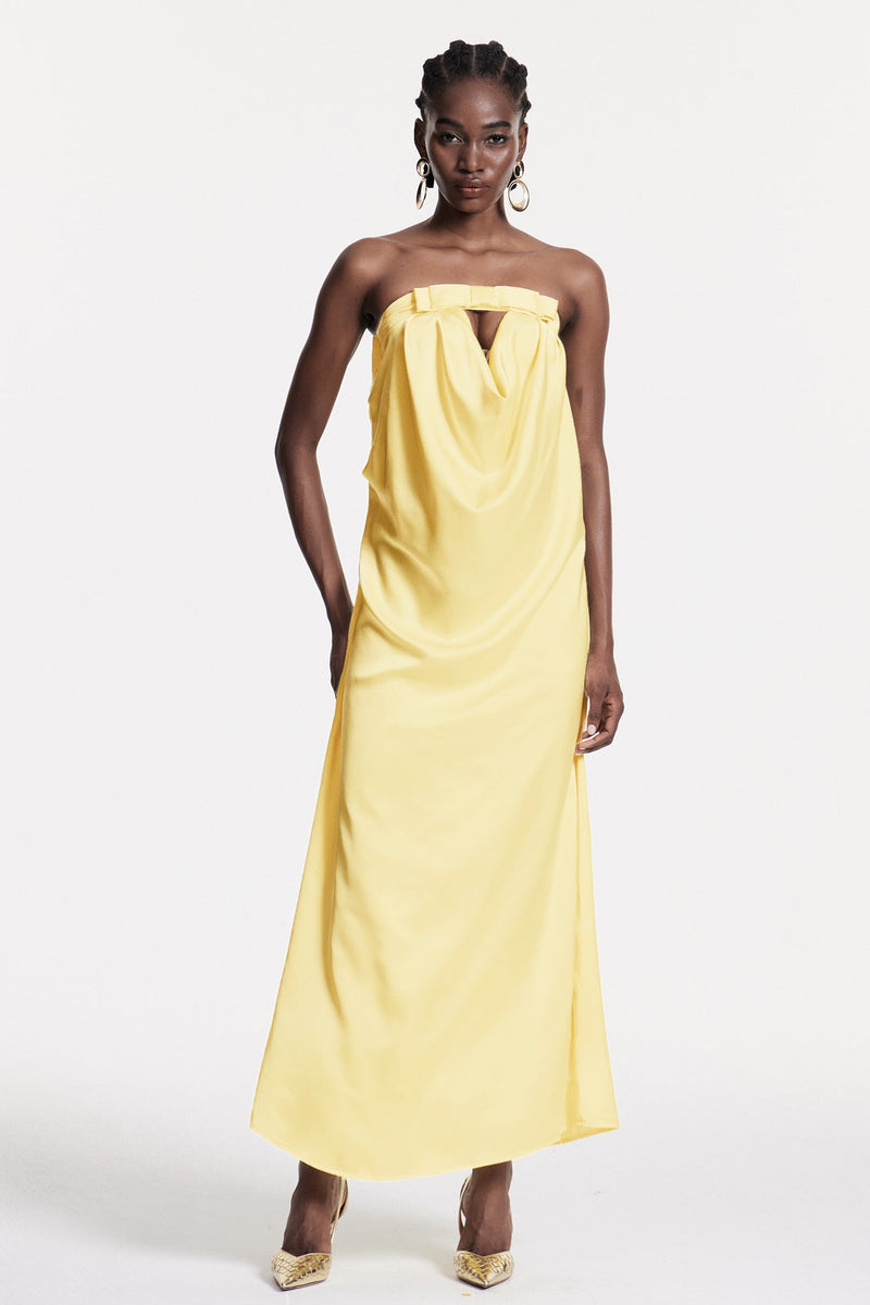 Ashorn Strapless Bow Maxi Dress