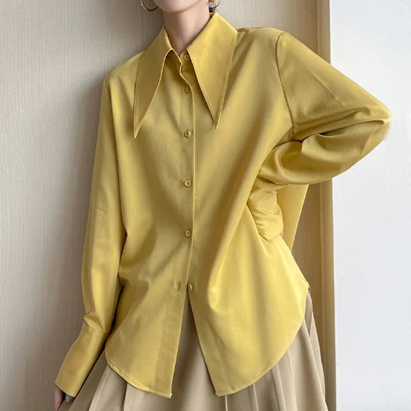 Satin Silk Turn Down Collar Blouse